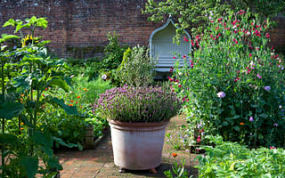 Marigolds and Their Friends: The Do's and Don'ts of Planting Companions for Marigolds
