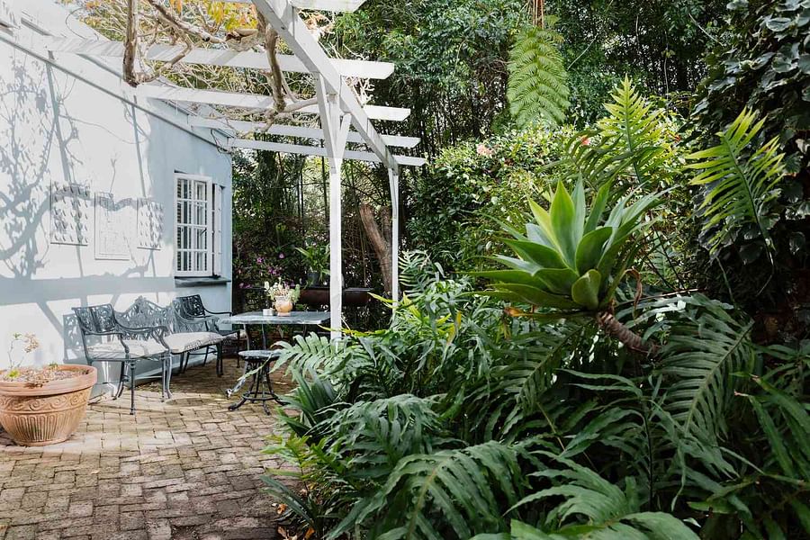 A harmonious garden with sun and shade plants thriving together