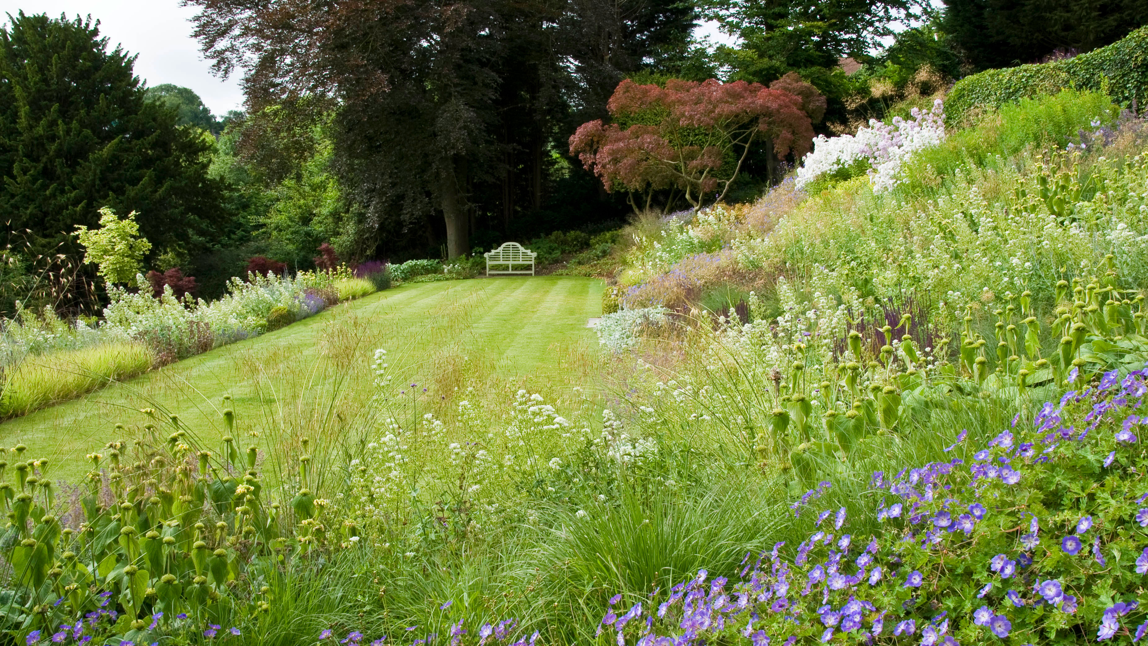 A sunny garden spot with well-draining soil