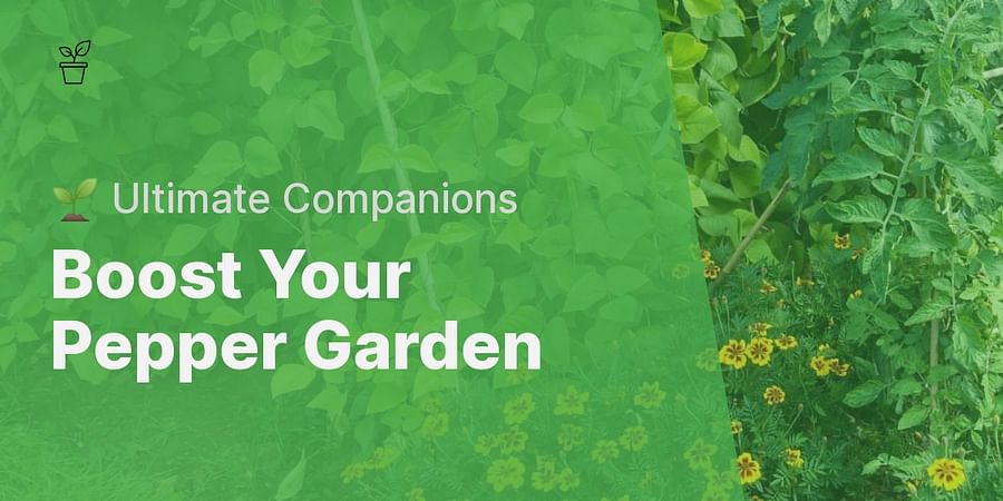 Boost Your Pepper Garden - 🌱 Ultimate Companions