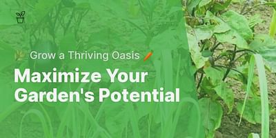 Maximize Your Garden's Potential - 🌿 Grow a Thriving Oasis 🥕
