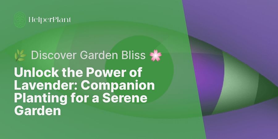 Unlock the Power of Lavender: Companion Planting for a Serene Garden - 🌿 Discover Garden Bliss 🌸
