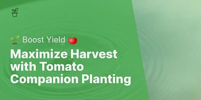 Maximize Harvest with Tomato Companion Planting - 🌱 Boost Yield 🍅