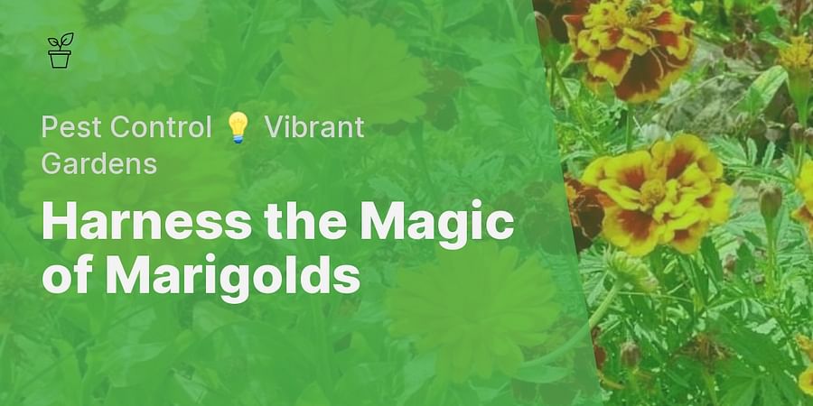 Harness the Magic of Marigolds - Pest Control 💡 Vibrant Gardens