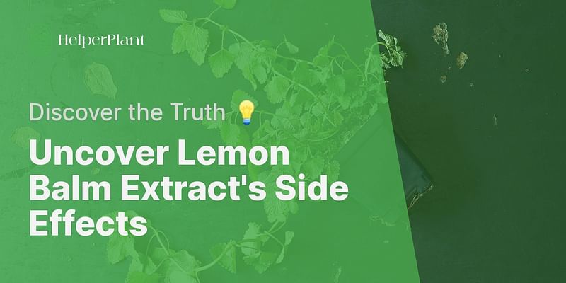 Uncover Lemon Balm Extract's Side Effects - Discover the Truth 💡
