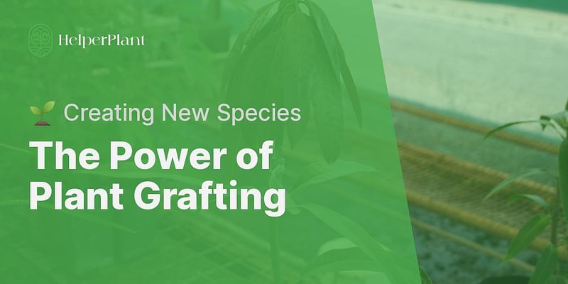 The Power of Plant Grafting - 🌱 Creating New Species