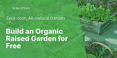 Build an Organic Raised Garden for Free - Zero-cost, All-natural Garden 🌱