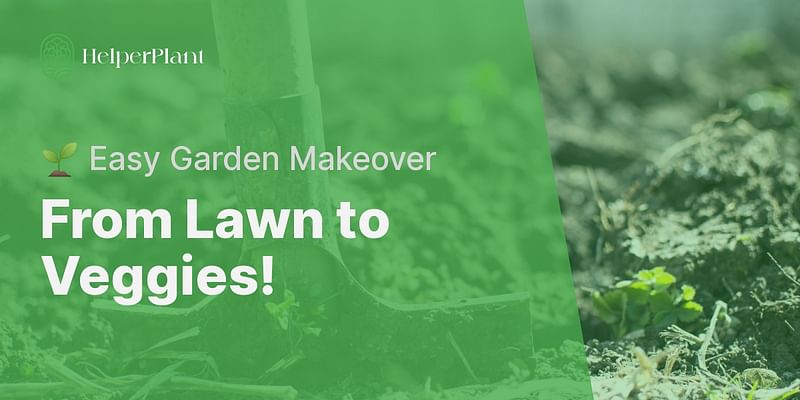 From Lawn to Veggies! - 🌱 Easy Garden Makeover
