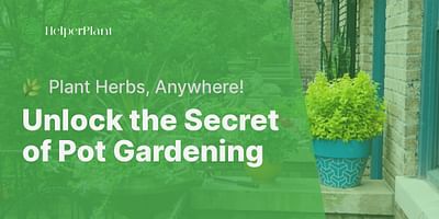 Unlock the Secret of Pot Gardening - 🌿 Plant Herbs, Anywhere!