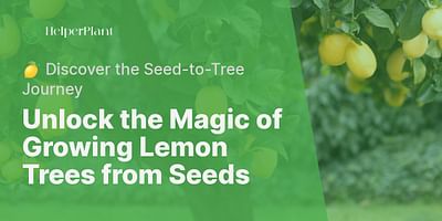 Unlock the Magic of Growing Lemon Trees from Seeds - 🍋 Discover the Seed-to-Tree Journey