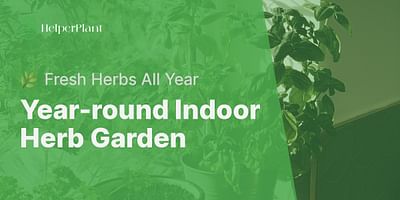 Year-round Indoor Herb Garden - 🌿 Fresh Herbs All Year