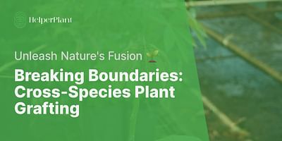 Breaking Boundaries: Cross-Species Plant Grafting - Unleash Nature's Fusion 🌱