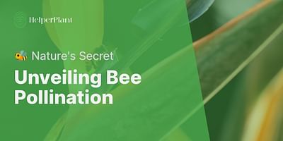 Unveiling Bee Pollination - 🐝 Nature's Secret