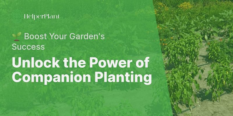 Unlock the Power of Companion Planting - 🌱 Boost Your Garden's Success