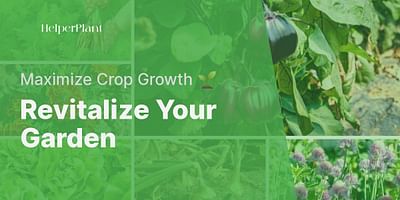 Revitalize Your Garden - Maximize Crop Growth 🌱