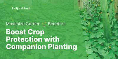 Boost Crop Protection with Companion Planting - Maximize Garden 🌱 Benefits!