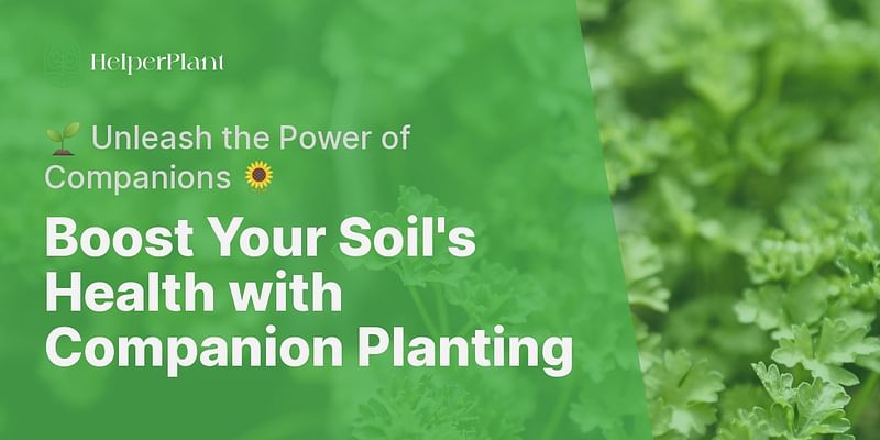 Boost Your Soil's Health with Companion Planting - 🌱 Unleash the Power of Companions 🌻