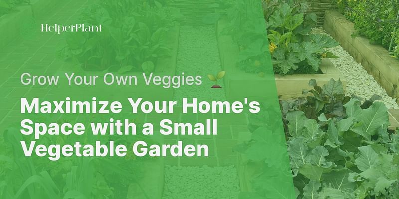 Maximize Your Home's Space with a Small Vegetable Garden - Grow Your Own Veggies 🌱
