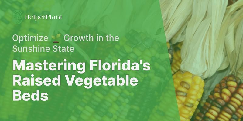 Mastering Florida's Raised Vegetable Beds - Optimize 🌱 Growth in the Sunshine State