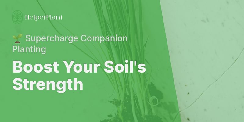 Boost Your Soil's Strength - 🌱 Supercharge Companion Planting