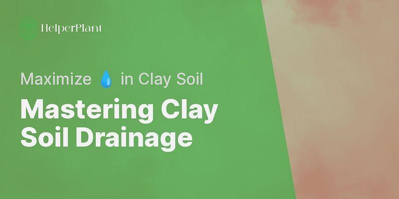 Mastering Clay Soil Drainage - Maximize 💧 in Clay Soil