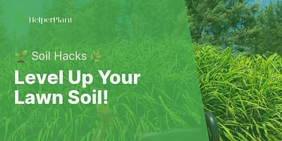 Level Up Your Lawn Soil! - 🌱 Soil Hacks 🌿