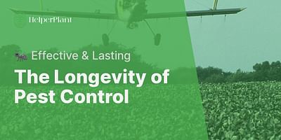 The Longevity of Pest Control - 🐜 Effective & Lasting