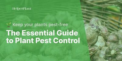 The Essential Guide to Plant Pest Control - 🌱 Keep your plants pest-free