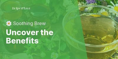 Uncover the Benefits - 🌼 Soothing Brew