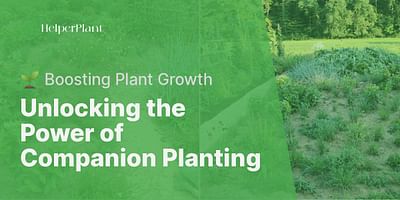 Unlocking the Power of Companion Planting - 🌱 Boosting Plant Growth