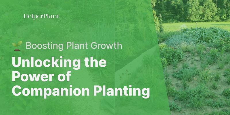 Unlocking the Power of Companion Planting - 🌱 Boosting Plant Growth