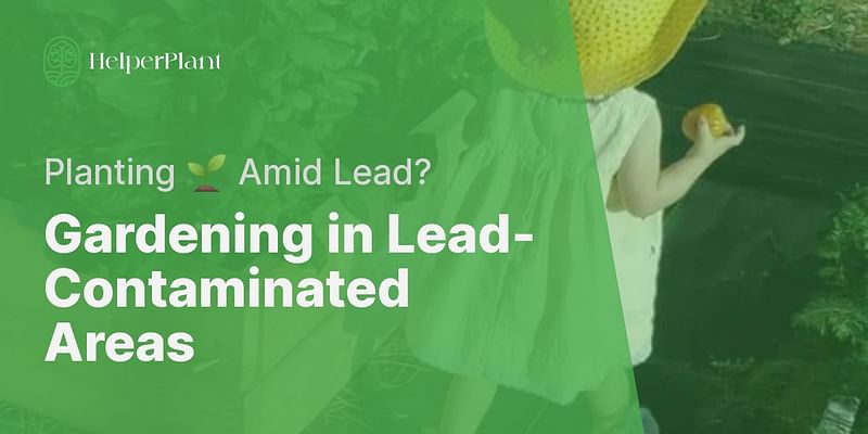 Gardening in Lead-Contaminated Areas - Planting 🌱 Amid Lead?