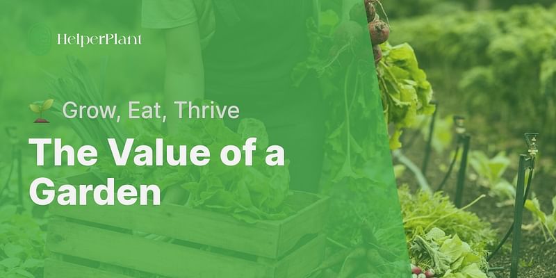 The Value of a Garden - 🌱 Grow, Eat, Thrive