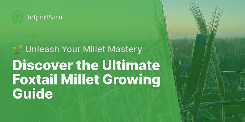 Discover the Ultimate Foxtail Millet Growing Guide - 🌱 Unleash Your Millet Mastery