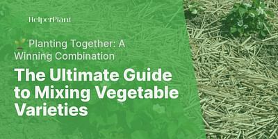 The Ultimate Guide to Mixing Vegetable Varieties - 🌱 Planting Together: A Winning Combination