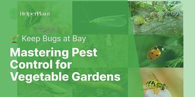 Mastering Pest Control for Vegetable Gardens - 🌱 Keep Bugs at Bay