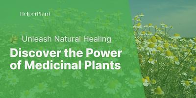Discover the Power of Medicinal Plants - 🌿 Unleash Natural Healing