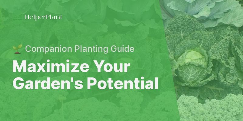 Maximize Your Garden's Potential - 🌱 Companion Planting Guide