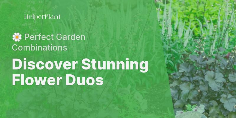 Discover Stunning Flower Duos - 🌼 Perfect Garden Combinations