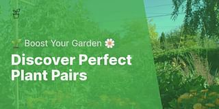 Discover Perfect Plant Pairs - 🌱 Boost Your Garden 🌼