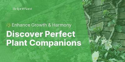 Discover Perfect Plant Companions - 🌿Enhance Growth & Harmony