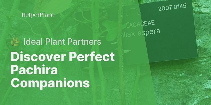 Discover Perfect Pachira Companions - 🌿 Ideal Plant Partners