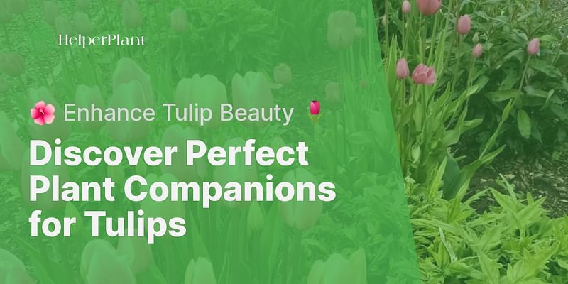 Discover Perfect Plant Companions for Tulips - 🌺 Enhance Tulip Beauty 🌷