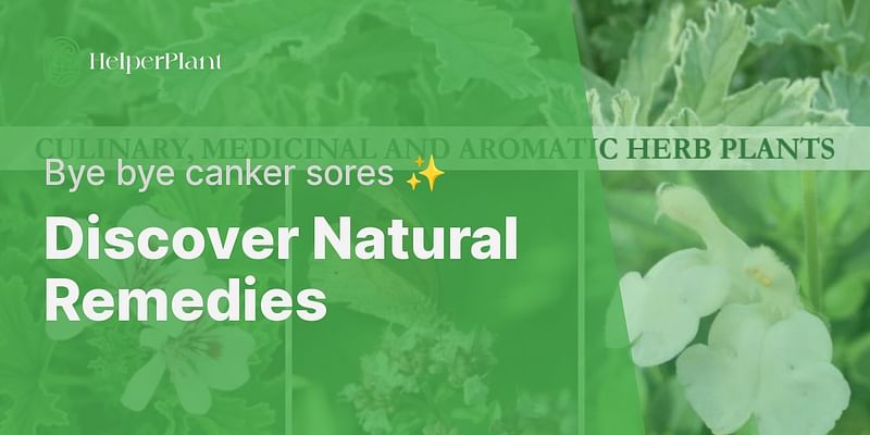 Discover Natural Remedies - Bye bye canker sores ✨