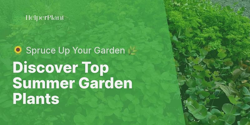 Discover Top Summer Garden Plants - 🌻 Spruce Up Your Garden 🌿