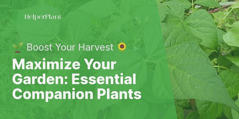 Maximize Your Garden: Essential Companion Plants - 🌱 Boost Your Harvest 🌻