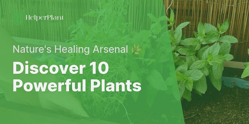 Discover 10 Powerful Plants - Nature's Healing Arsenal 🌿