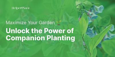Unlock the Power of Companion Planting - Maximize Your Garden 🌱