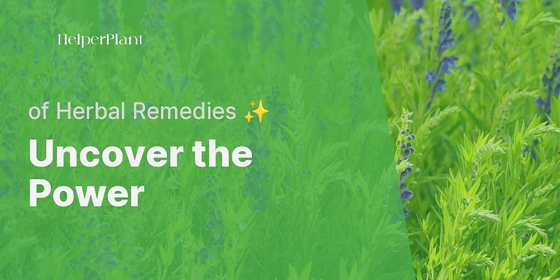 Uncover the Power - of Herbal Remedies ✨