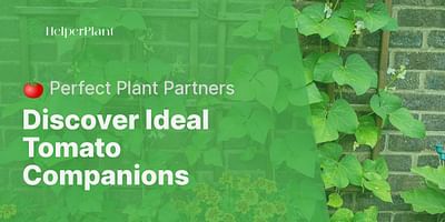 Discover Ideal Tomato Companions - 🍅 Perfect Plant Partners